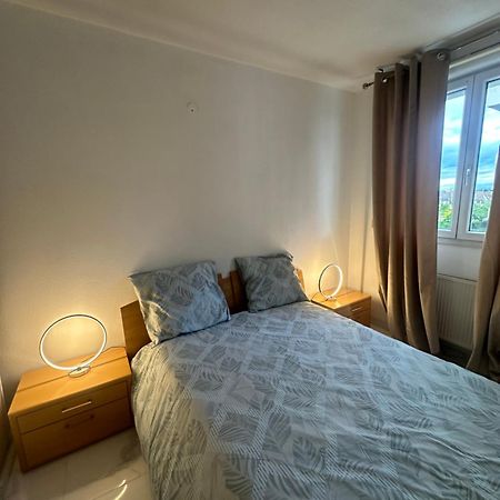 Ferienwohnung Tres Beau Trois Pieces Avec Vue Degagee Straßburg Exterior foto